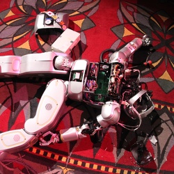 Jaemi Hubo's Big Fall 2010